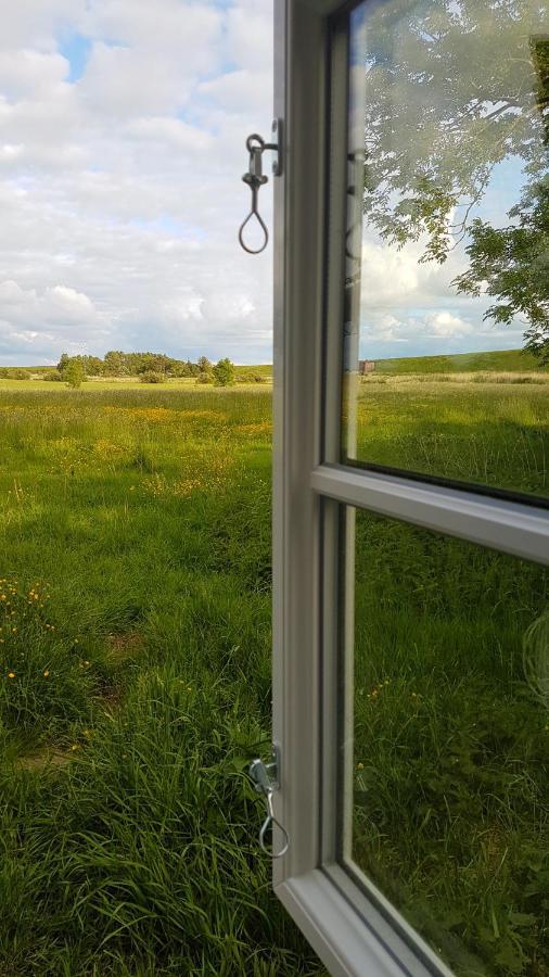Ferienwohnung Marschkieker - Kleiner Deichhof Hattstedtermarsch エクステリア 写真