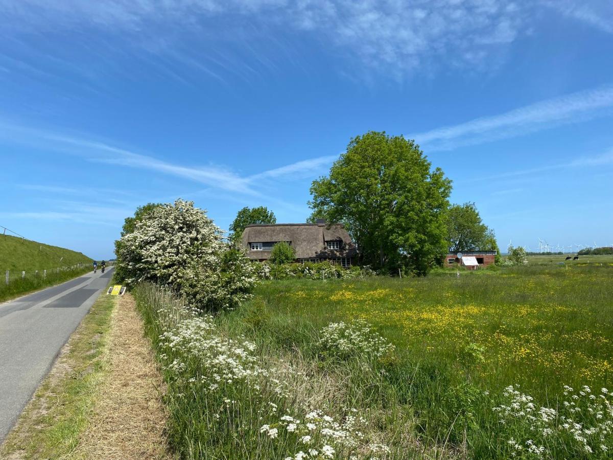 Ferienwohnung Marschkieker - Kleiner Deichhof Hattstedtermarsch エクステリア 写真